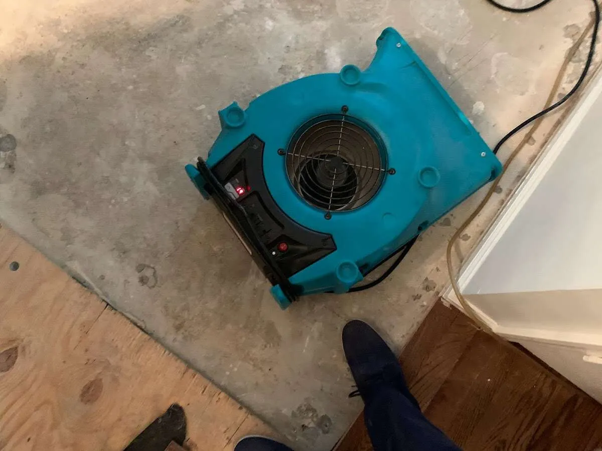 Air mover drying subfloor during Commercial Water Damage Restoration in Kent